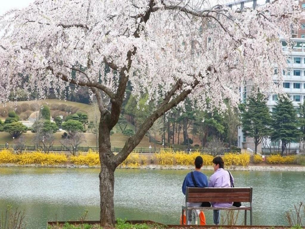 春が来ました！ 대표이미지